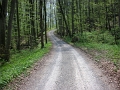 Alp Rohr_Hoehenweg_Chueweid 25 04 2010 (170)